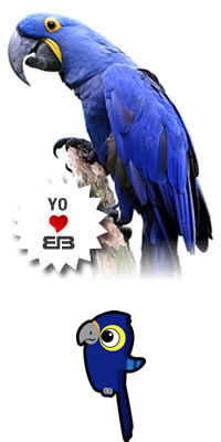 Veterinario Loros